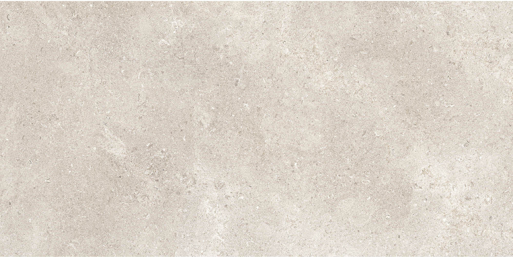 RB91 Coquille Champagne Matt-Pro Rett 60x120 Refin