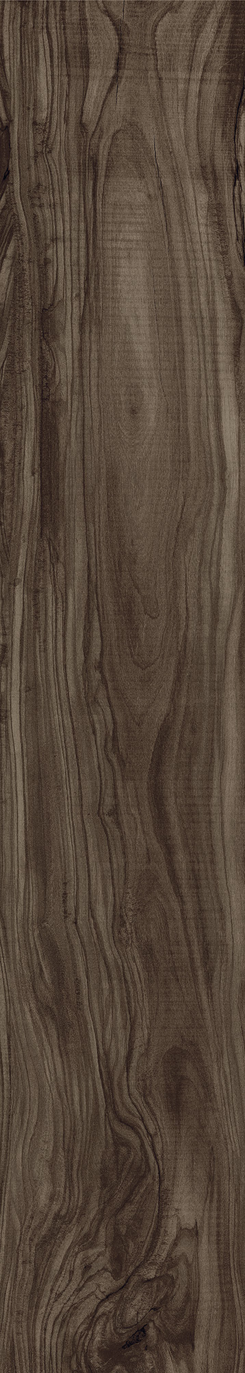 CW-CR01-B Pearsian Wood Charcoal Carving 20x120 Creanza