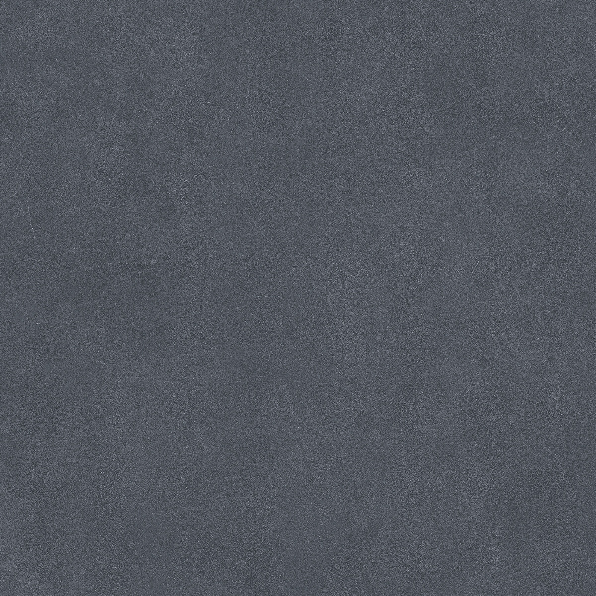 Monotone Panther Matt 20x20 Motto