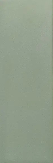 133008 Bits Kale Matt 3,7x11,6 WOW