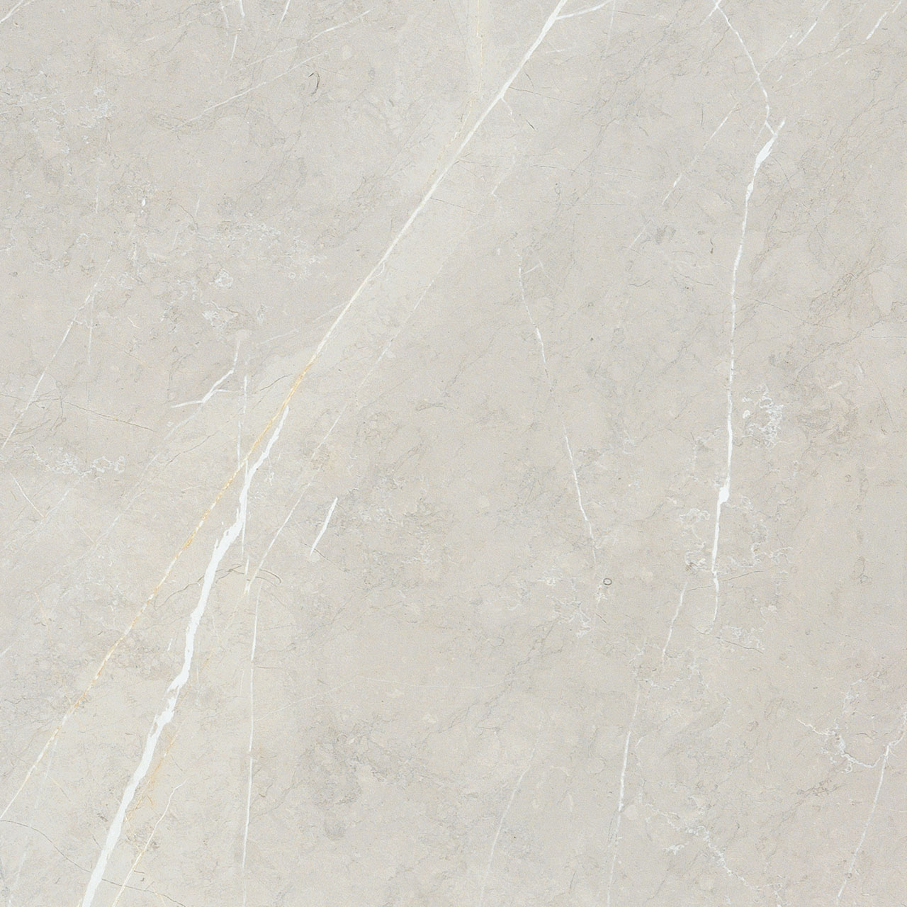 BB6NTT9101P Bright And Shiny 60x60 NT Ceramic