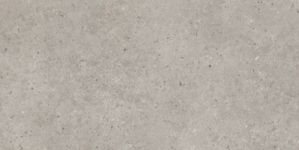 SG519920R Риккарди серый светлый матовый обрезной 60х119,5 Kerama Marazzi