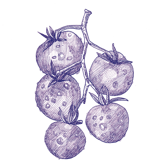 4101303 Stories Eddie Matte 10x10 41ZERO42 фото 36