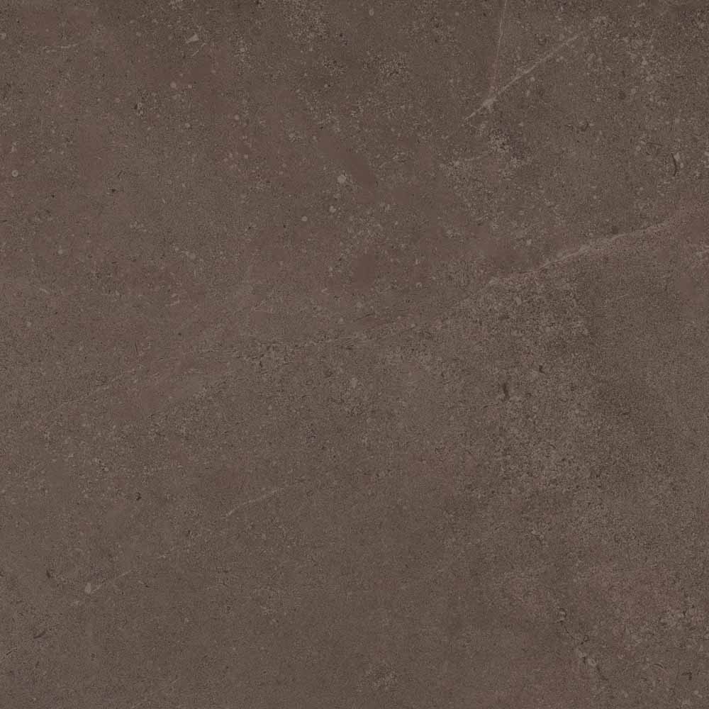 GO03 Gobi Brown Grey Неполированный Рект. 60x60x9 Estima фото 4