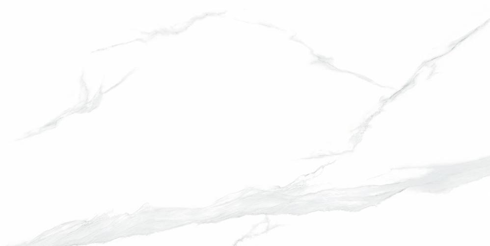 NTT9106P Statuario 60x120 NT Ceramic фото 2