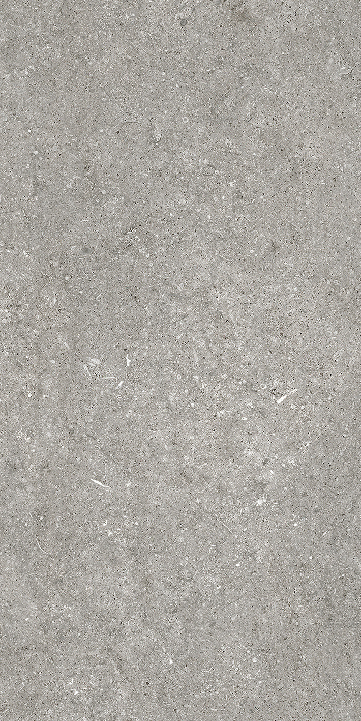 768621 Sensi Grey Fossil Nat Ret 6mm 60x120 Casa Dolce Casa
