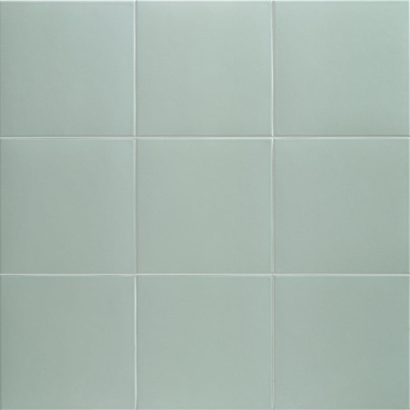 Technical Aloe 20х20 Mainzu