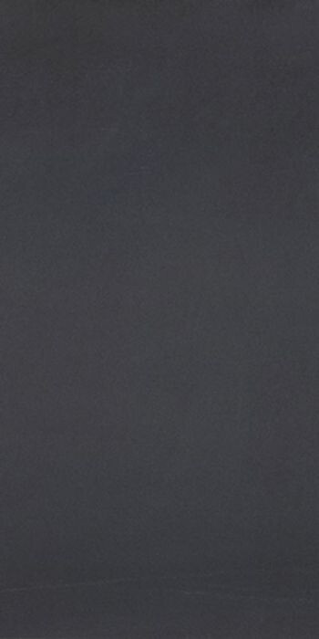 11720031 R-Evolution Black 9mm 60x120 Casalgrande Padana