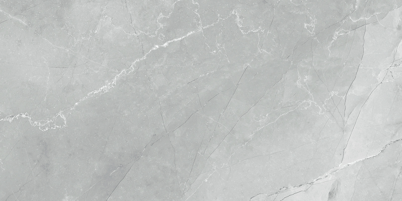 60120AMB15P Armani Marble Gray 60x120 LCM