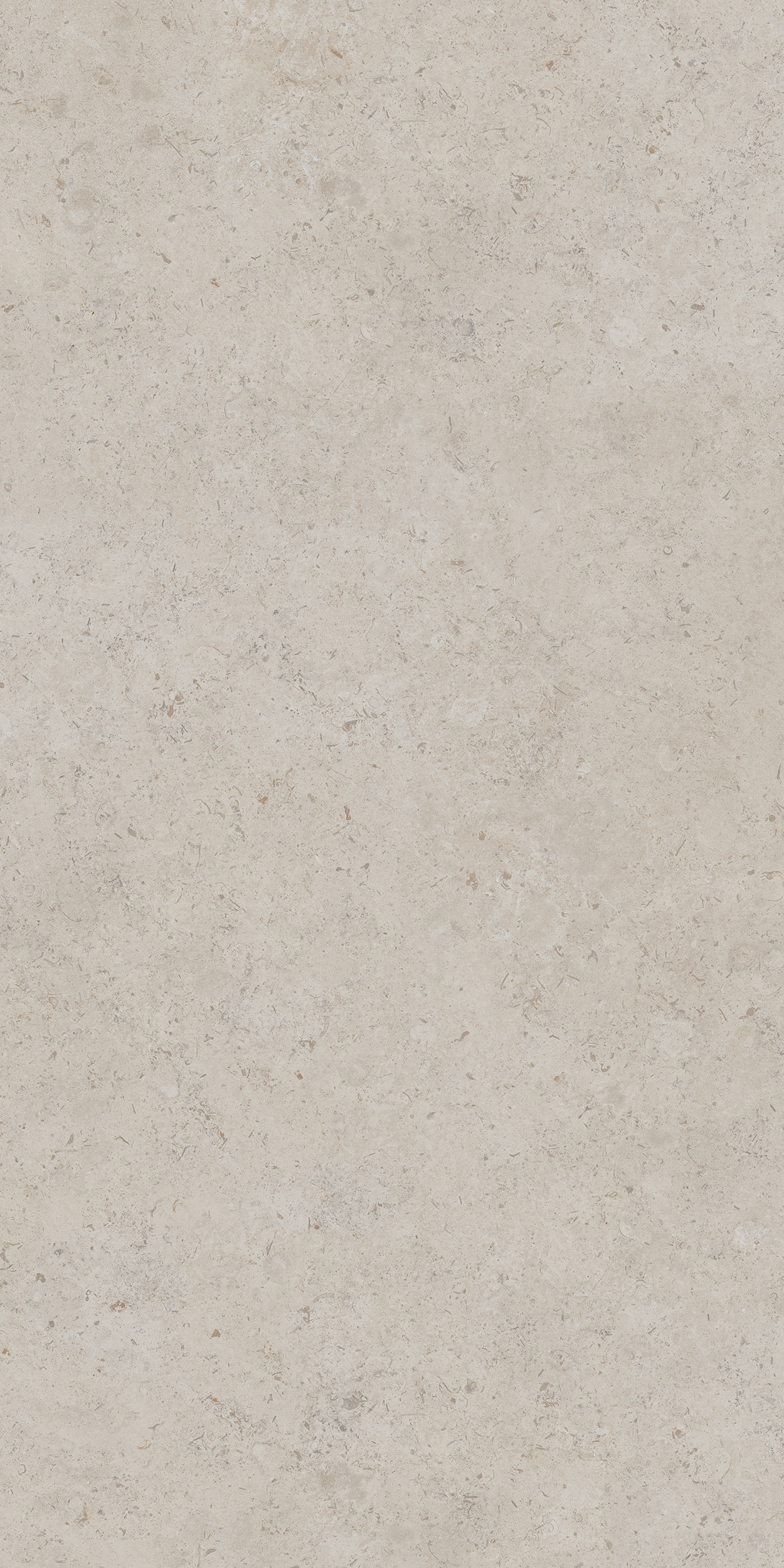DD590400R Про Лаймстоун АТ бежевый натуральный обрезной R10 119,5х238,5 Kerama Marazzi