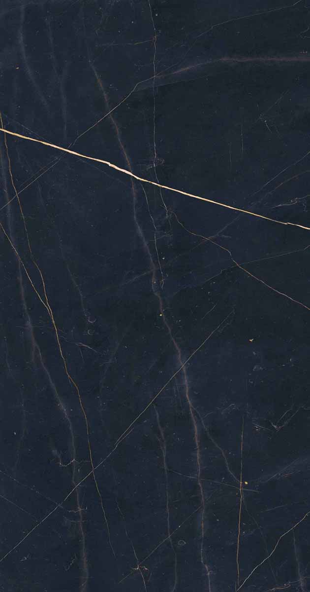 PF60011003 Precious Black Lux Ret 60x120 ABK