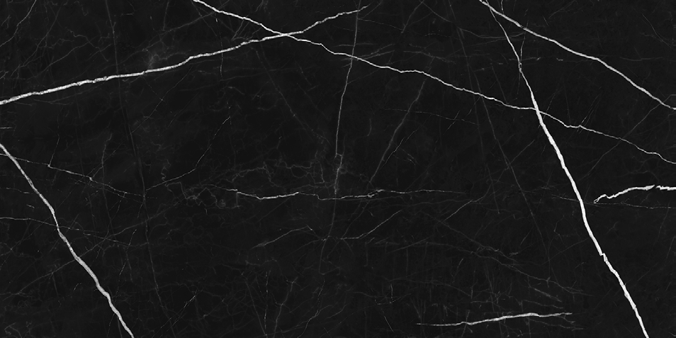 NR209 Ross Black 60x120 PrimaVera
