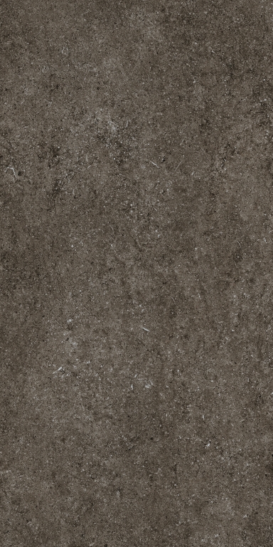 768328 Sensi Brown Fossil R+PTV Ret 60x120 Casa Dolce Casa