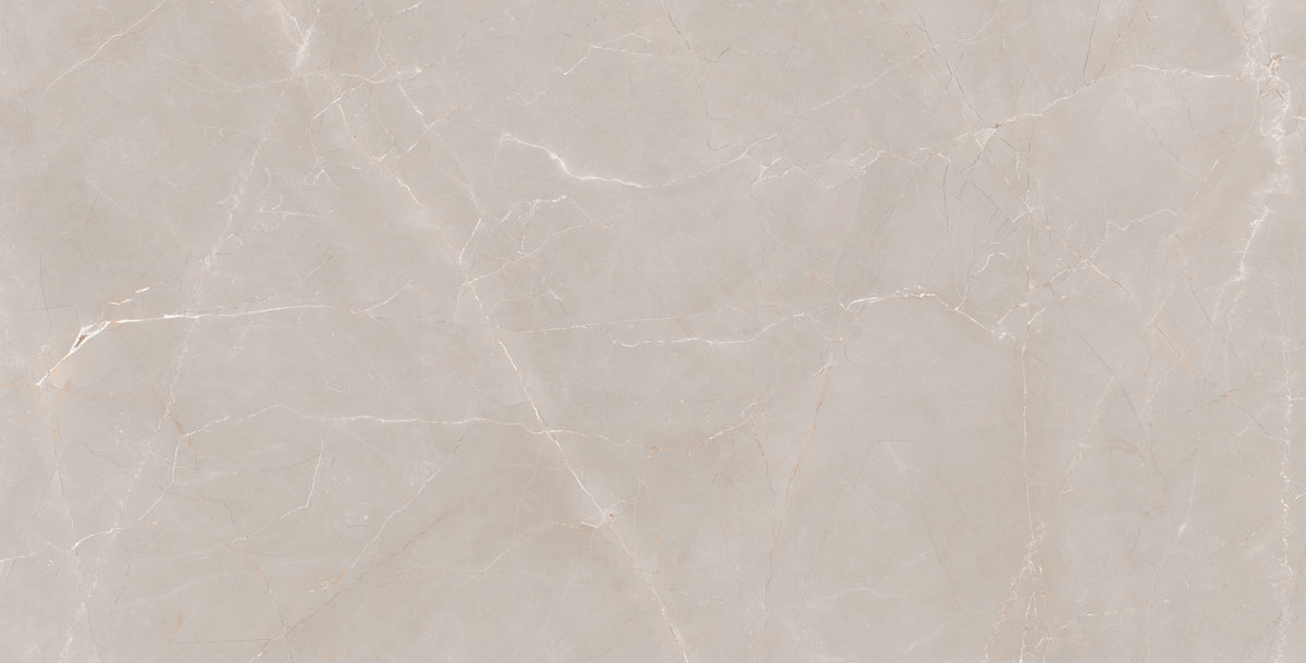 Natural Armani Light Grey Polish 60x120 Granoland