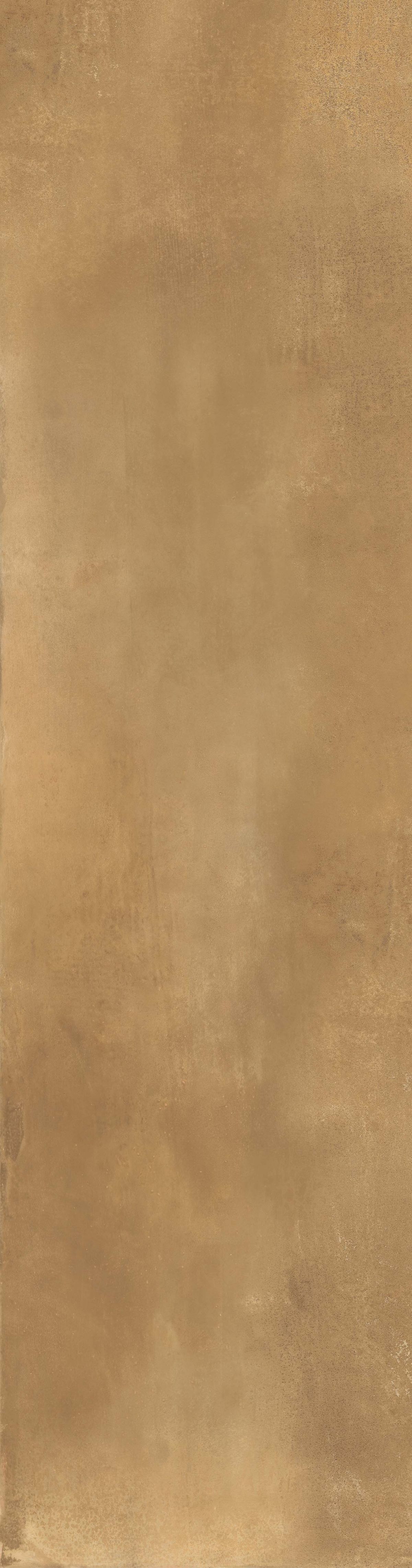 0502031 TWS Metal Brass Nat RT 29,8x119,2 Roberto Cavalli