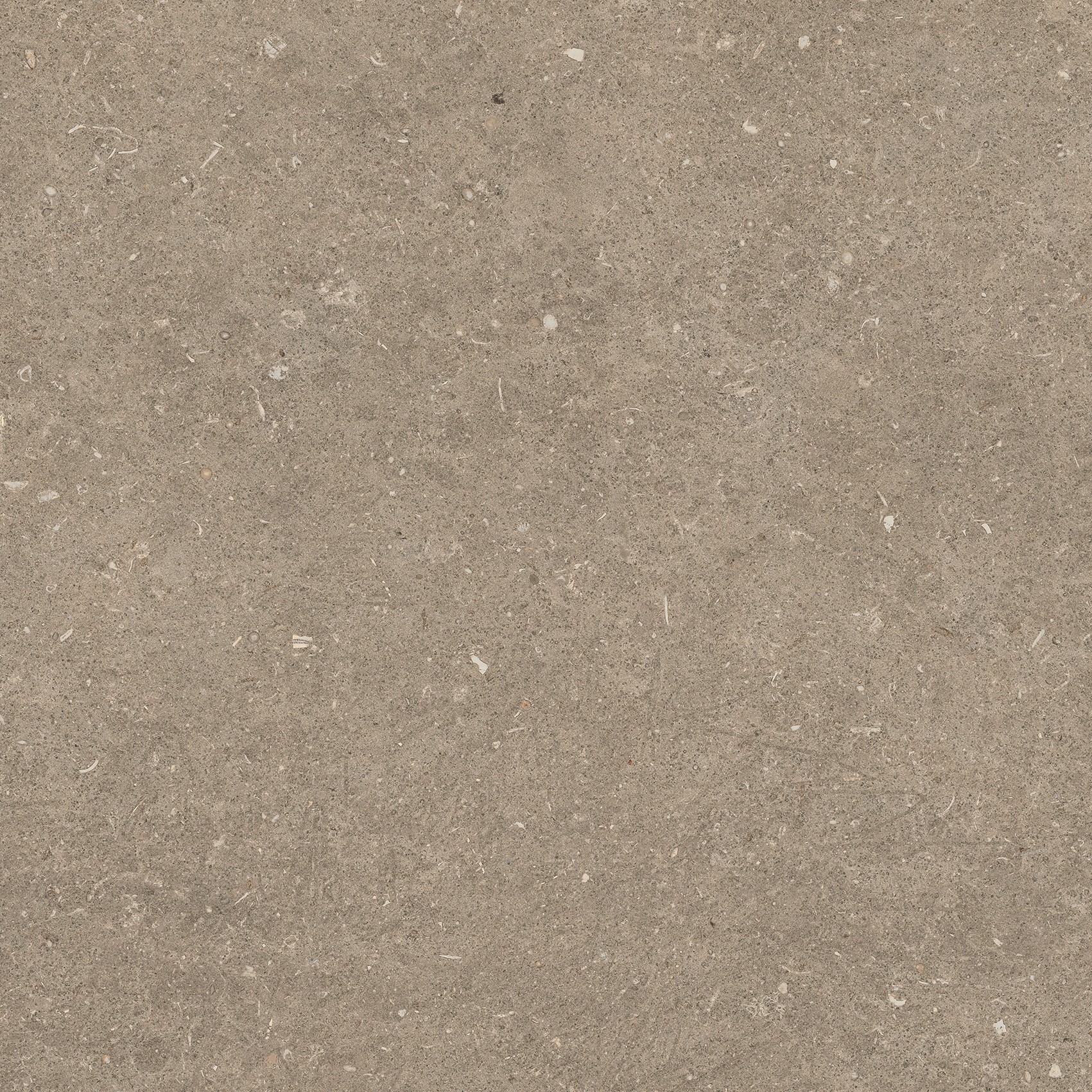 785486 Rinascenza Arena Pietra Matte 60x60 Casa Dolce Casa фото 9