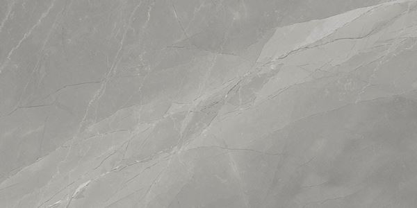 Myas Grey 60x120 Gravita
