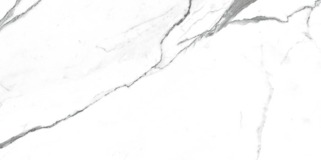 NR235 Dalim White Матовый 60x120 PrimaVera