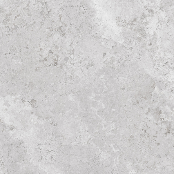 230221 Verona Grey Polished 60x60 Concor