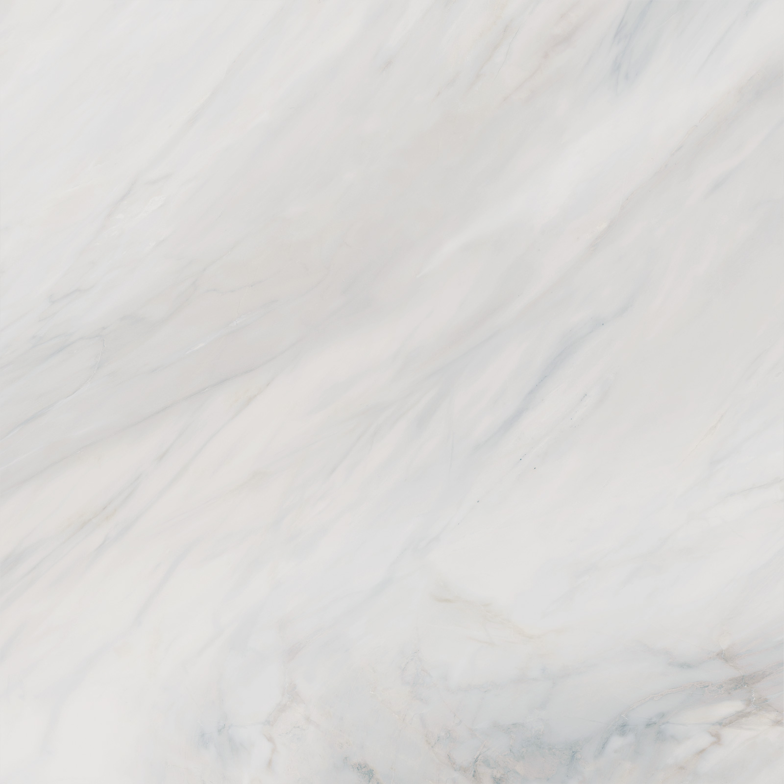 6060CAA03 Carolina Pearl Sugar 600x600x9.5 Delacora