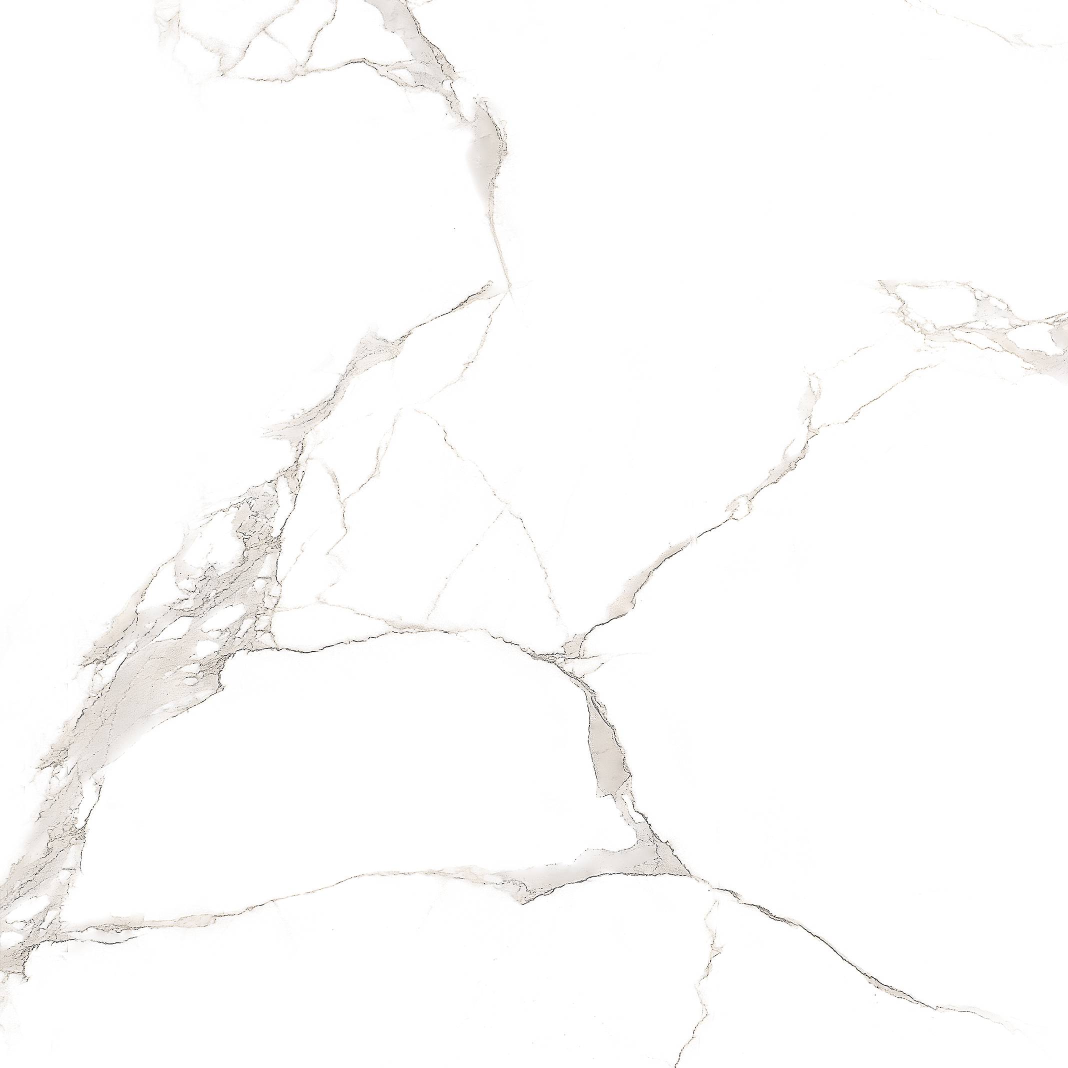 Carrara White 60х60 SotGres