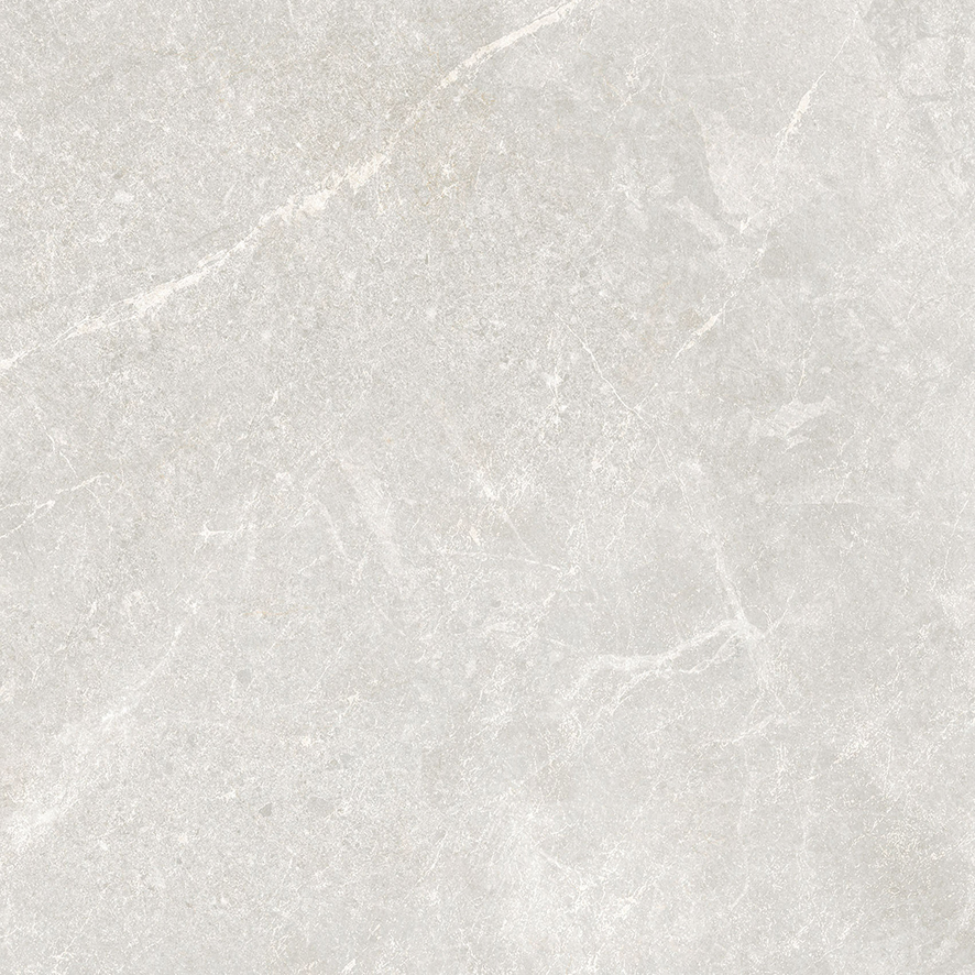Rocky Bianco PRO светло-серый матовый R10GR 60х60 Laparet