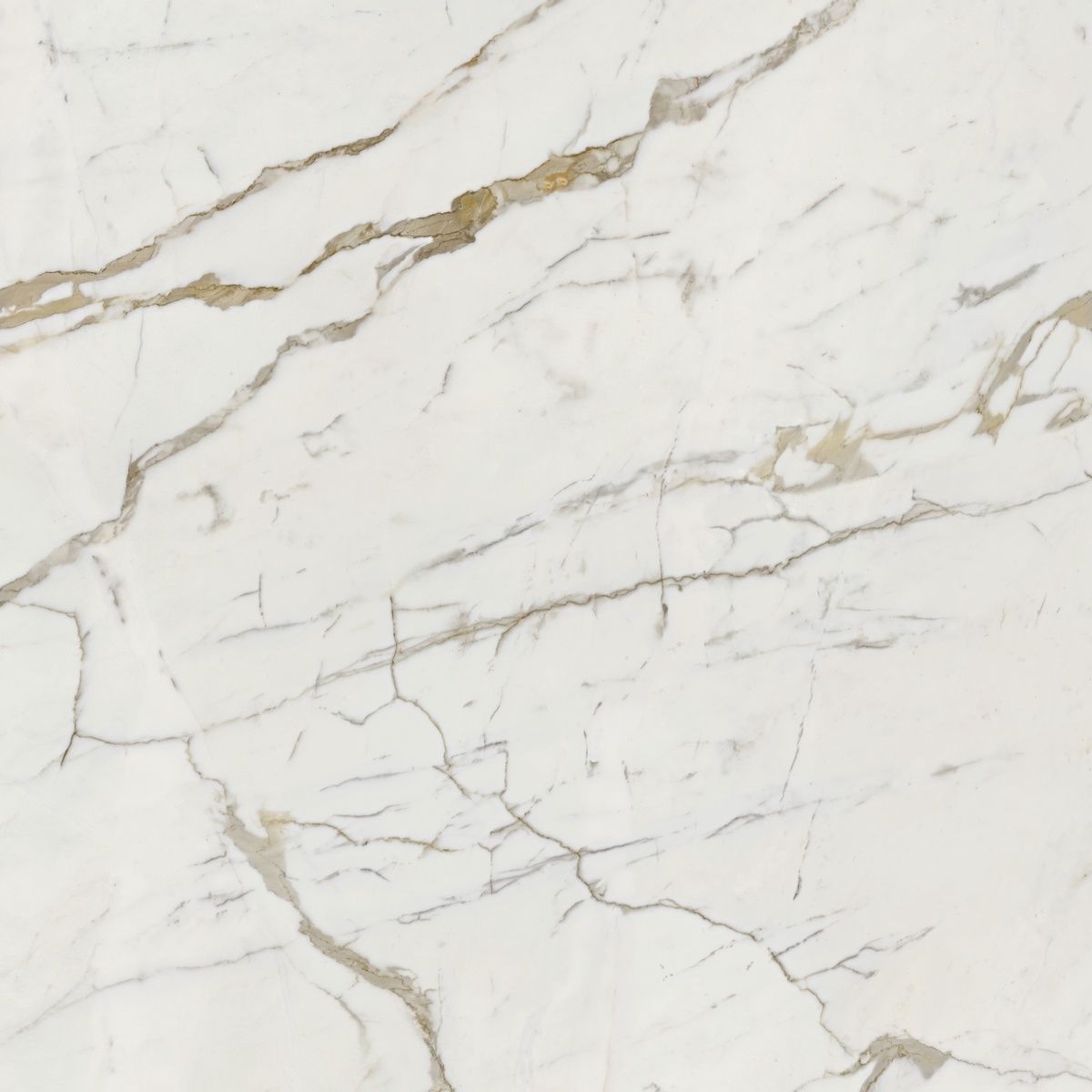 Vision Calacatta Oro 120x120 Dado Ceramica