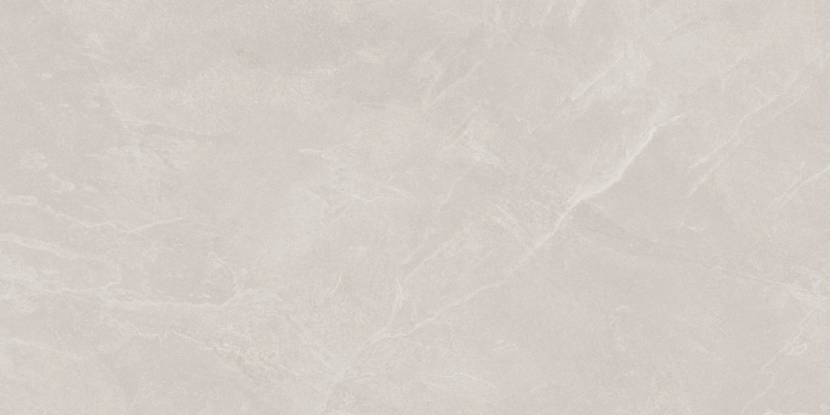 Archie Bianco Pro светло-серый матовый R10GR STR 60х120 Laparet