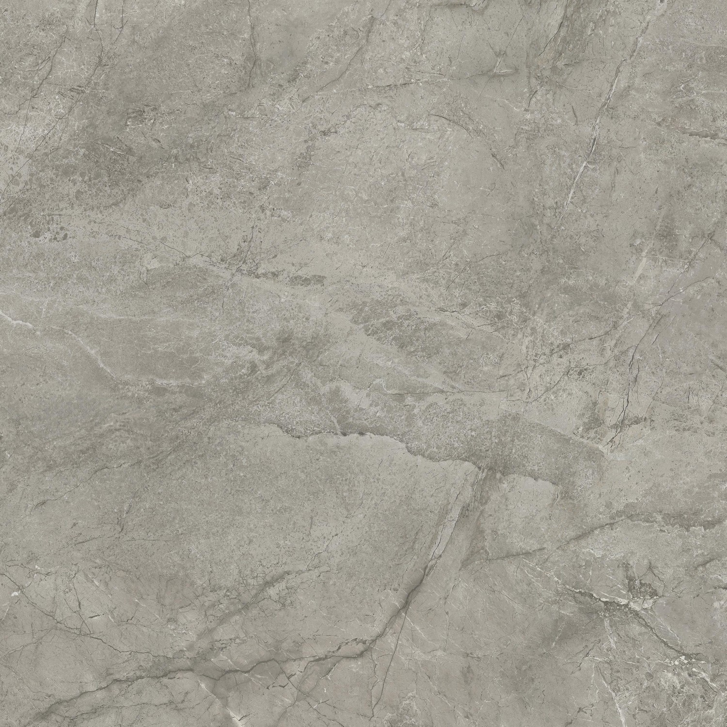 AJIK Marvel Meraviglia Silver Majestic Velvet 120x120 Atlas Concorde