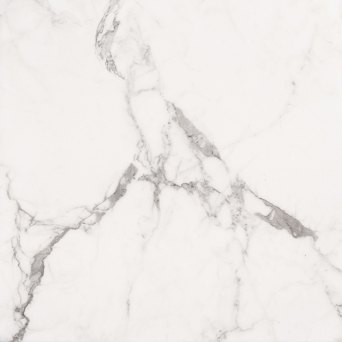 AB 1096M Carrara Classic matt 600x600 Absolut Gres
