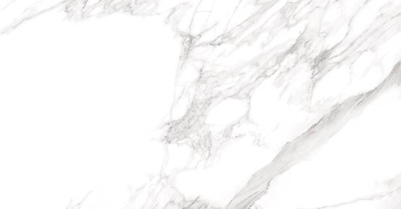 22011 MUSEUM TORANO BIANCO/60X120/EP 60x120 Peronda