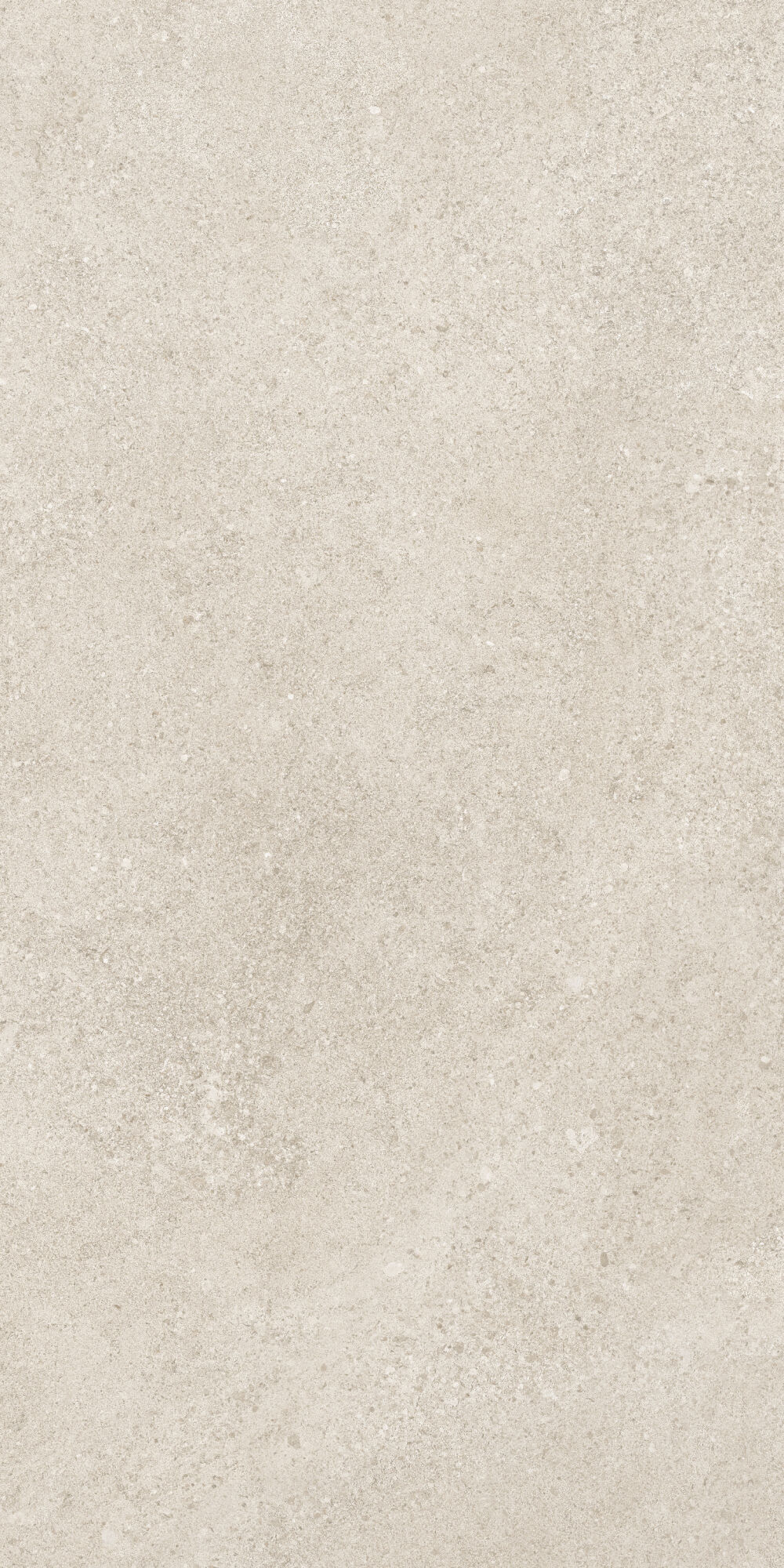 36902 Cluny Beige 4D/50X100X2/A/R 50x100 Peronda фото 8