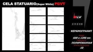 Polished LV Granito