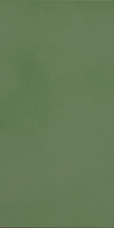 R-Evolution Green 36SC R10 60x120 Casalgrande Padana