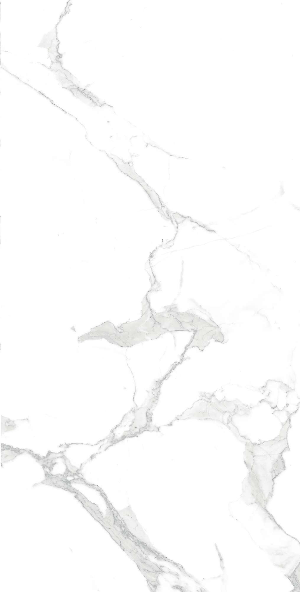 GI8005-A Paradise Statuario Matt Glossy Ink 60x120 Arcadia Ceramica
