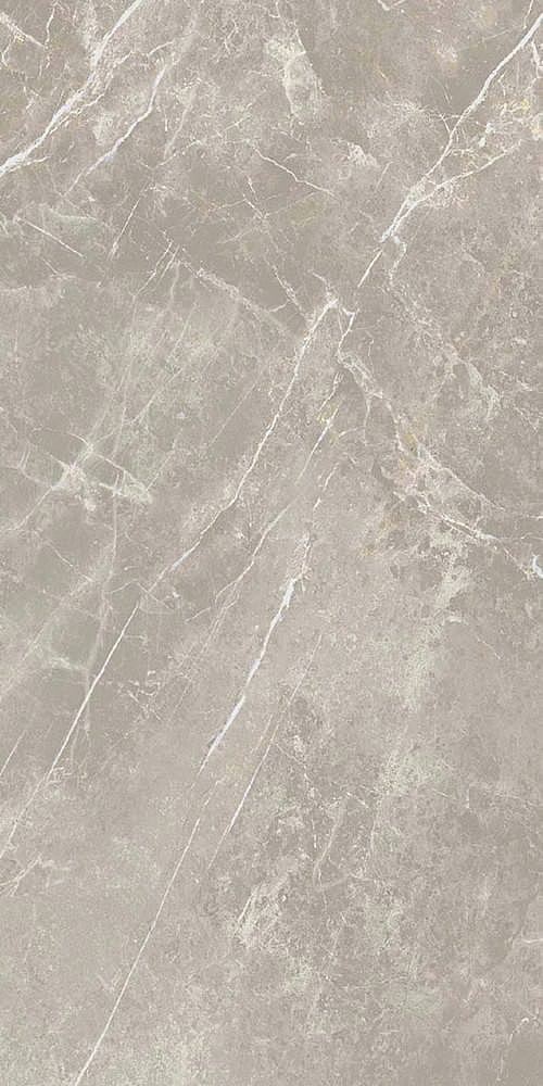 766528 Elemental Grey Dolomia Luc Ret 60x120 Cerim