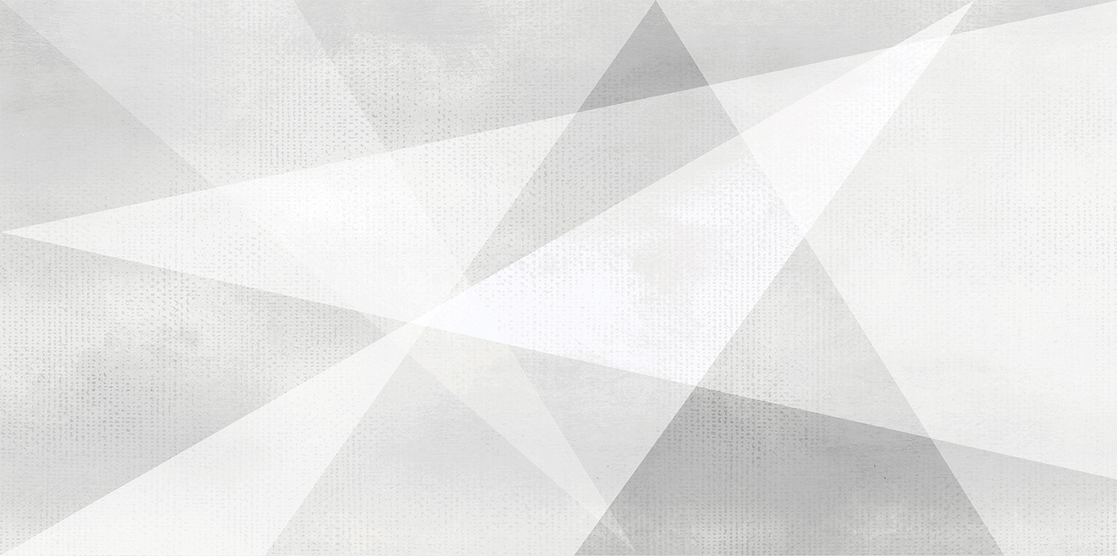 WT9SHG00 Shape Geometric White 24.9х50 AltaCera
