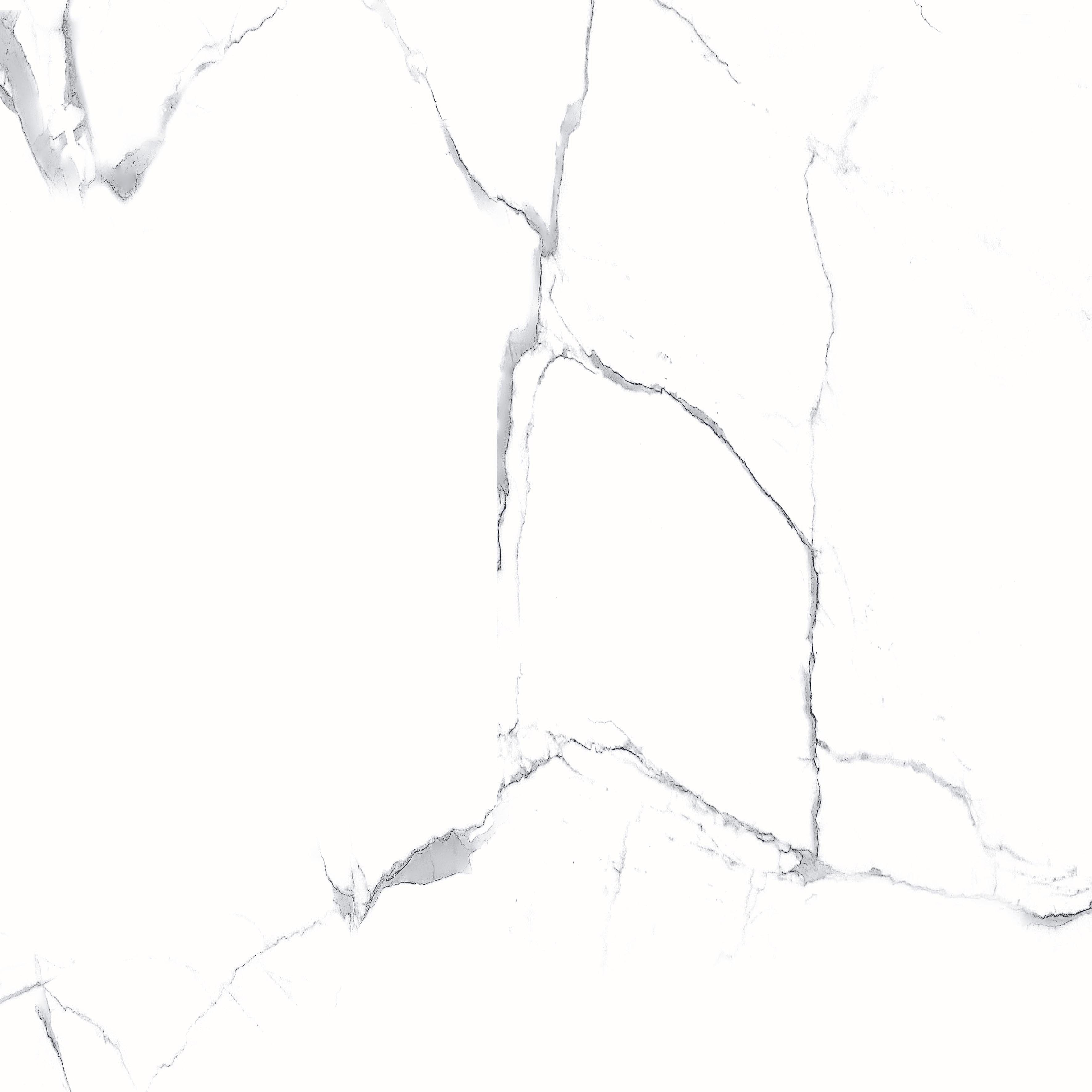 Megnus Statuario Glossy 60x60 Modern Tile