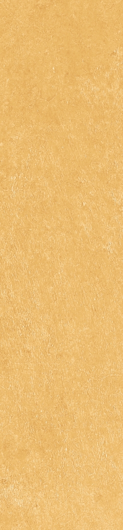 Scs Spectra Mustard Glossy 5,8х25 Simpolo Ceramics