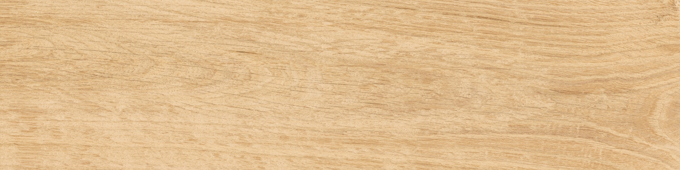KM1040G0011N Аргания бежевый матовый 9,9x40,2x0,8 Kerama Marazzi
