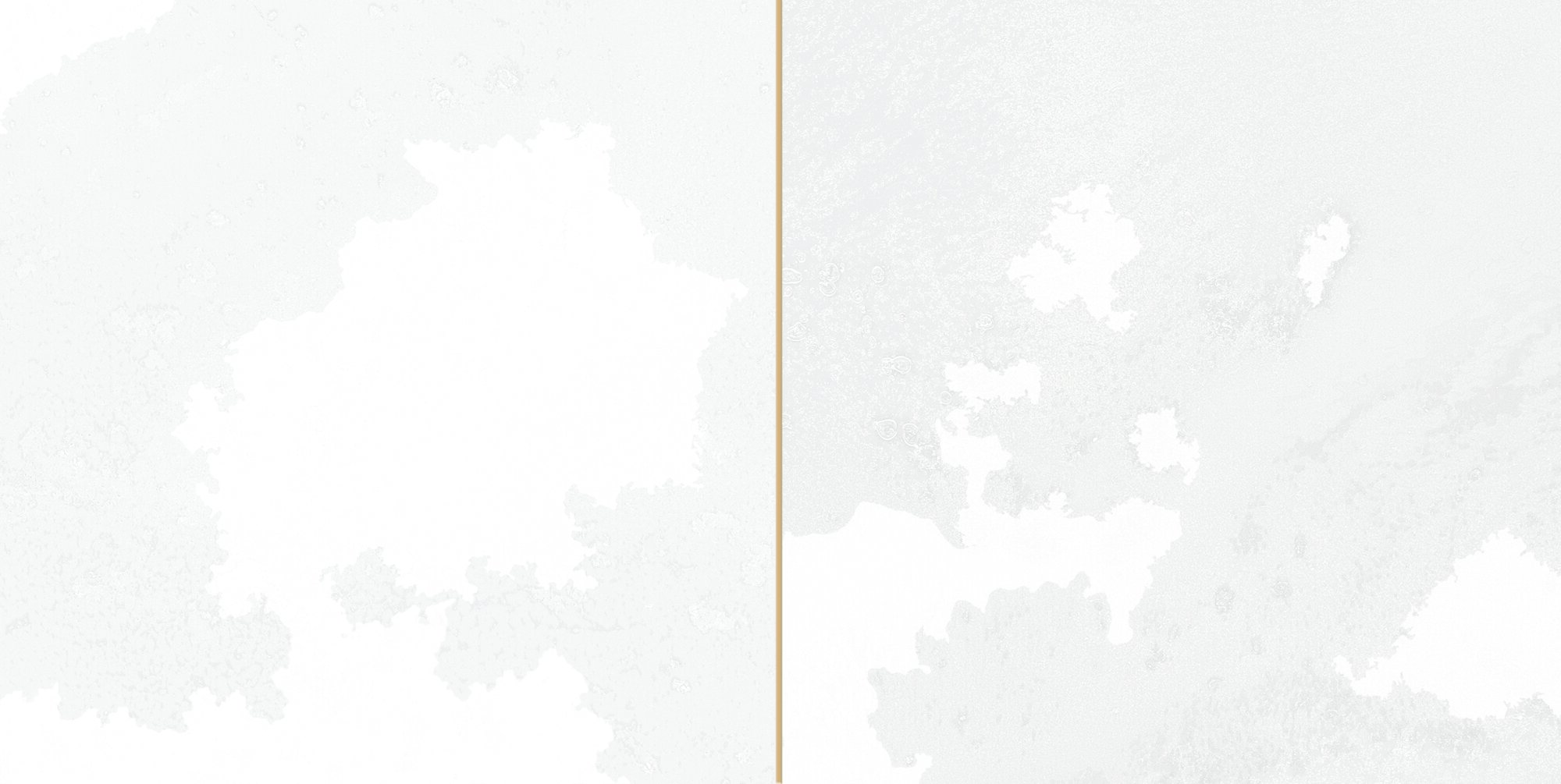 30896 FS Tradition Square White 20x40 Peronda фото 13