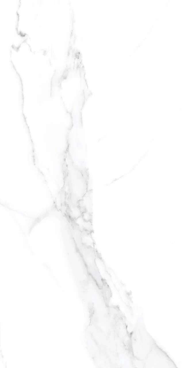 Orlando Bianco Carving 60х120 BELLEZA фото 6