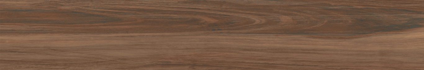 Boutonne Cognac Pulido R 20x120 Baldocer