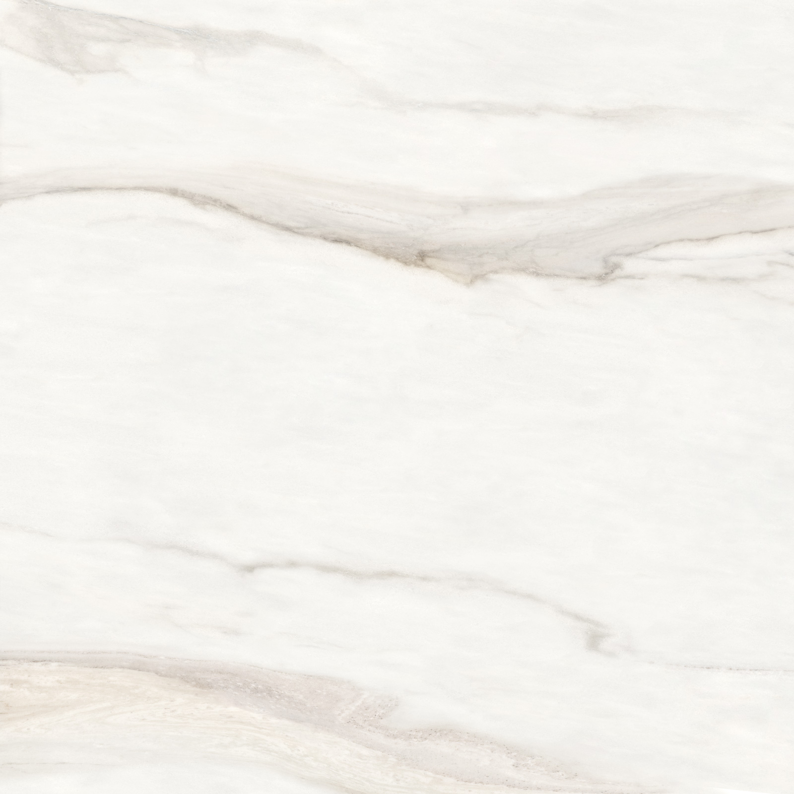 6060CMN01 Calacatta Monsoon Sugar 600x600x9.5 Delacora