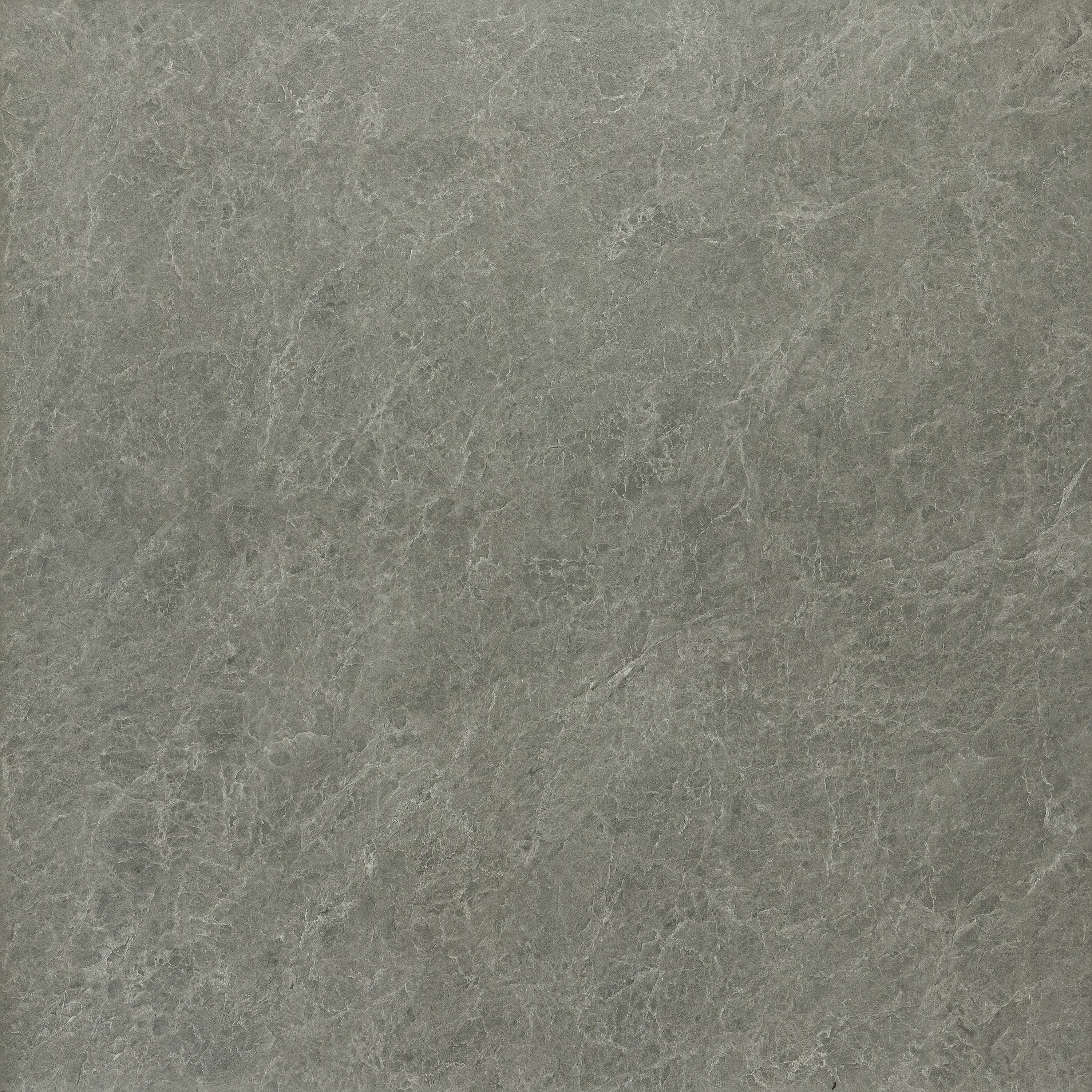 D6319 матовая 60x60 CSG