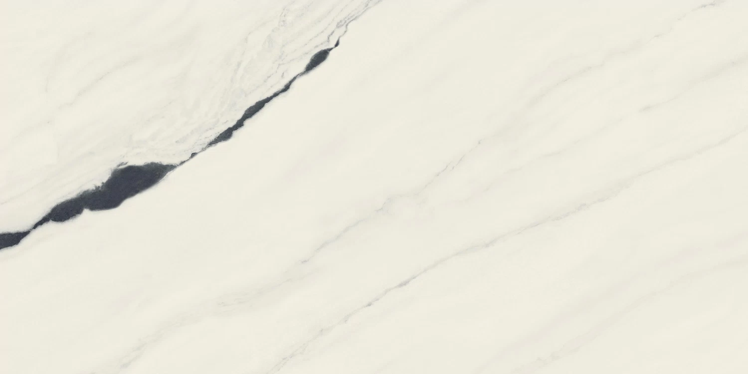 610015000656 Forte dei Marmi Panda White Rett Cer 60x120 Atlas Concorde Russia