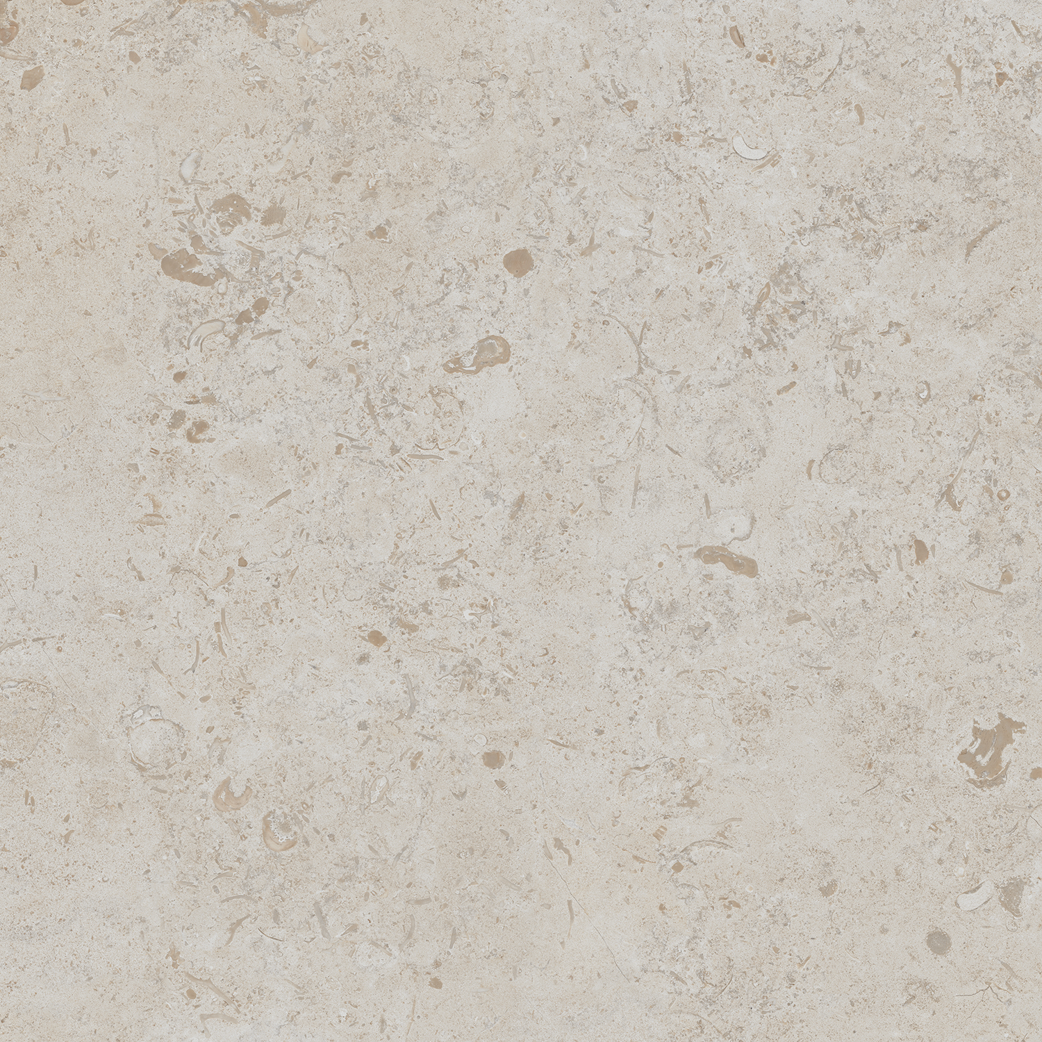 DD641120R Про Лаймстоун бежевый темный натуральный обрезной 60х60 Kerama Marazzi