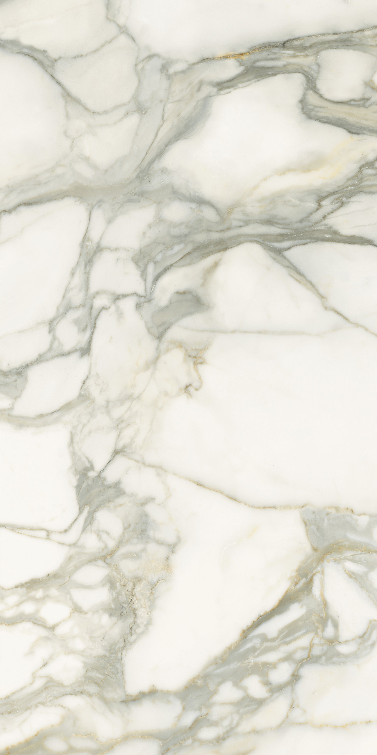 P628365 Calacatta Oro Natural 8mm 60x120 IRIS FMG фото 4