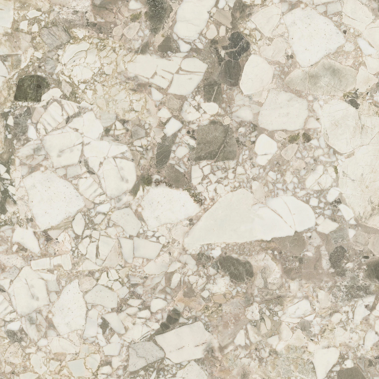 610010002723 Forte dei Marmi Ceppo Apuano Cream Rett 80x80 Atlas Concorde Russia