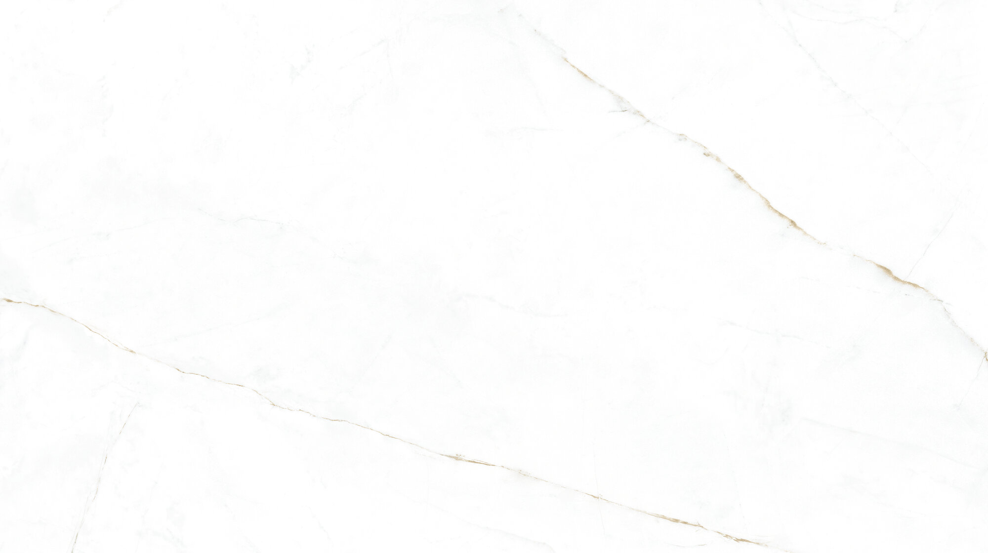 31745 Dual White/100X180/P 100х180 Peronda фото 3